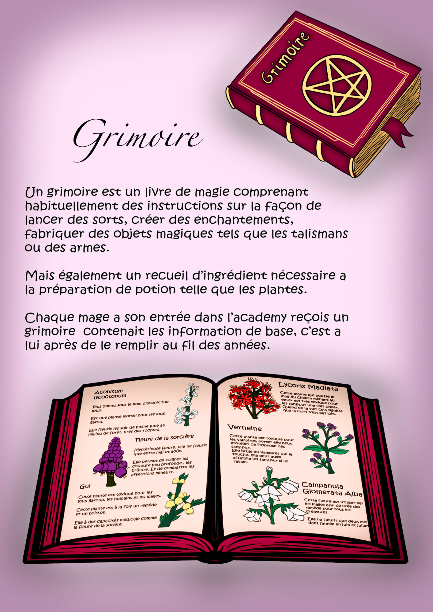 Illustration-le grimoire d'une sorcière